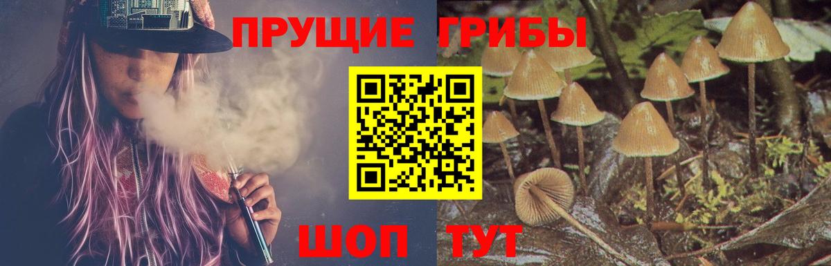 купить наркотик  Вход с VPN  Заинск  Галлюциногенные грибы Psilocybe 