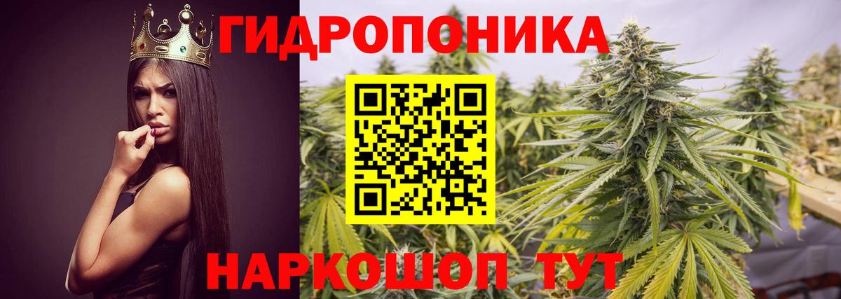 Каннабис план  Вход с VPN  Каннабис индика  Каннабис марихуана  Заинск 